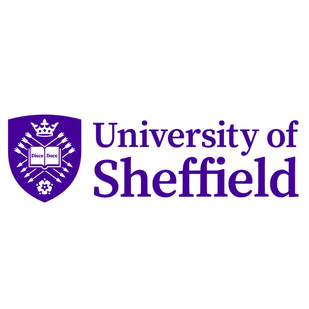 University of Sheffield